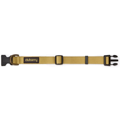 Apollo Nylon Dog Collar