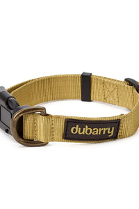 Apollo Nylon Dog Collar
