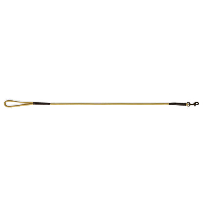 Charlie Nylon Dog Lead
