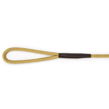 Charlie Nylon Dog Lead