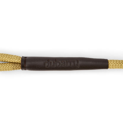 Charlie Nylon Dog Lead