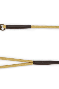 Charlie Nylon Dog Lead