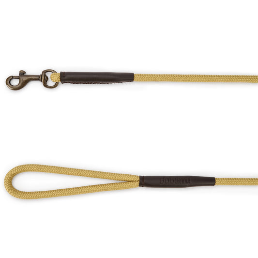 Charlie Nylon Dog Lead