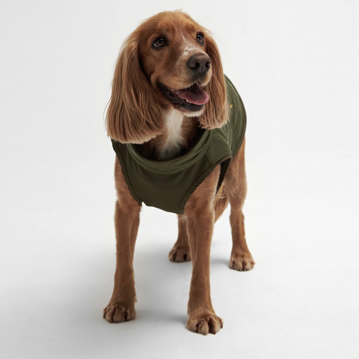 Reversible Quilt/Borg Fleece Dog Coat