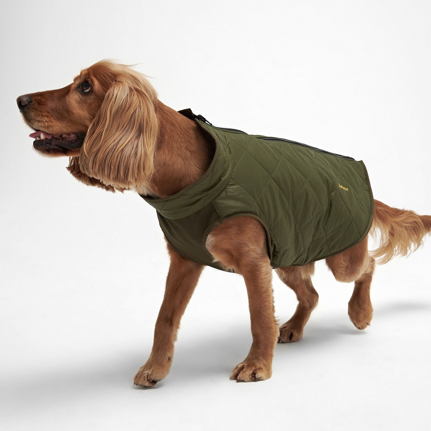 Reversible Quilt/Borg Fleece Dog Coat