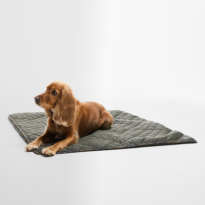 Dog Quilt & Fleece Blanket