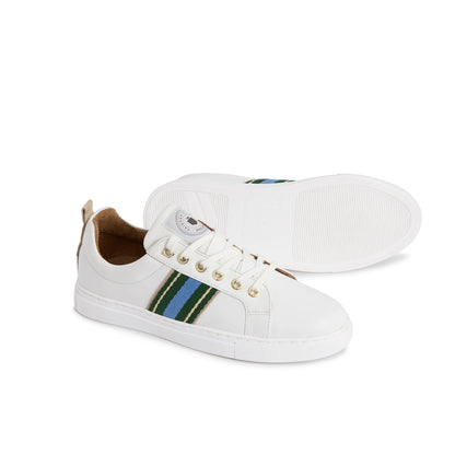 Boston Trainer