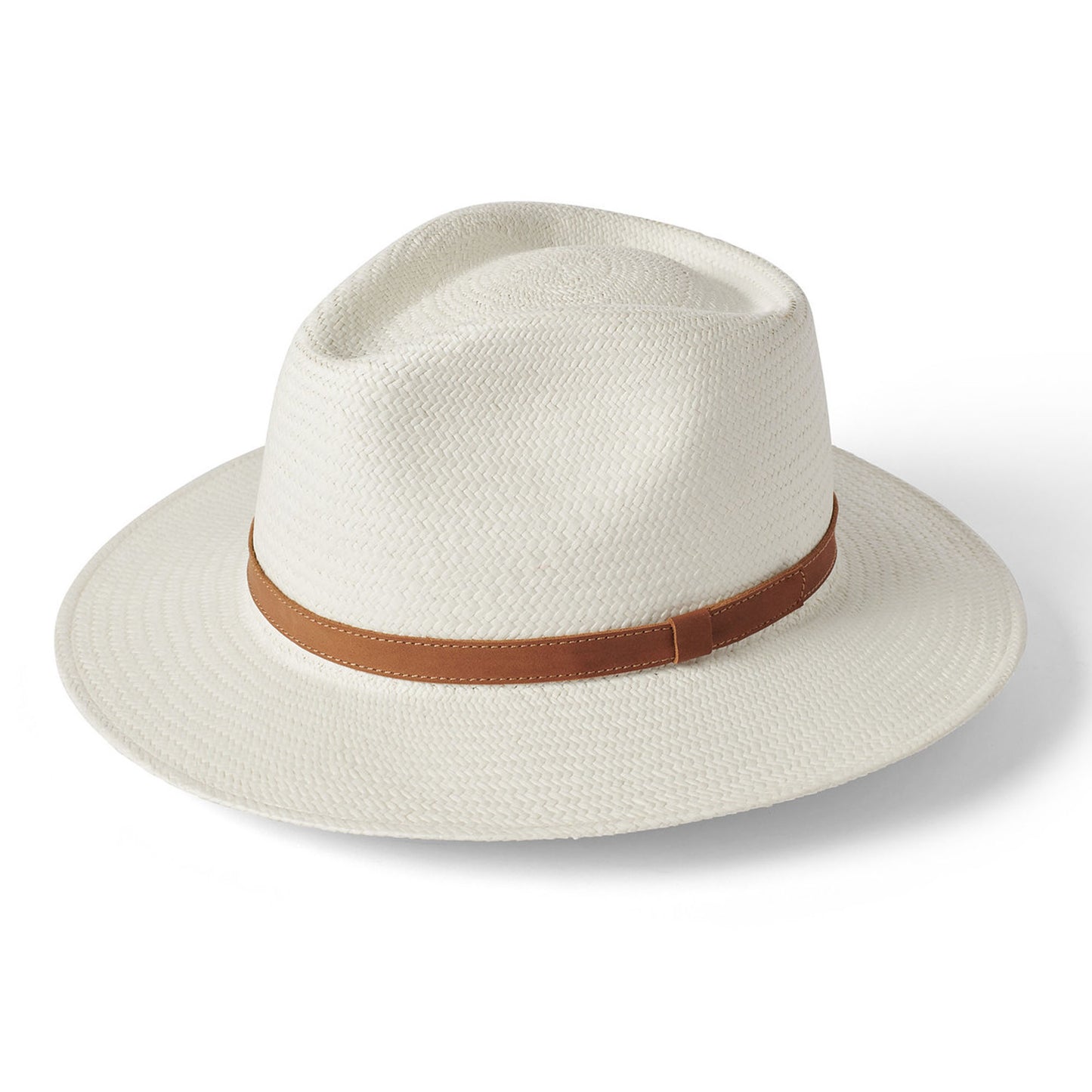 Safari Panama