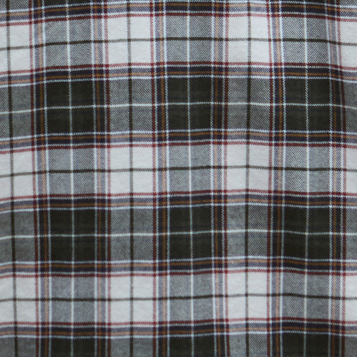 Telfield Regular Fit Checked Shirt