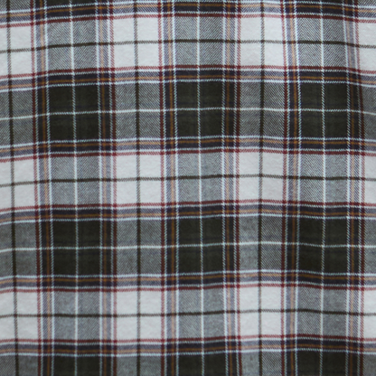 Telfield Regular Fit Checked Shirt