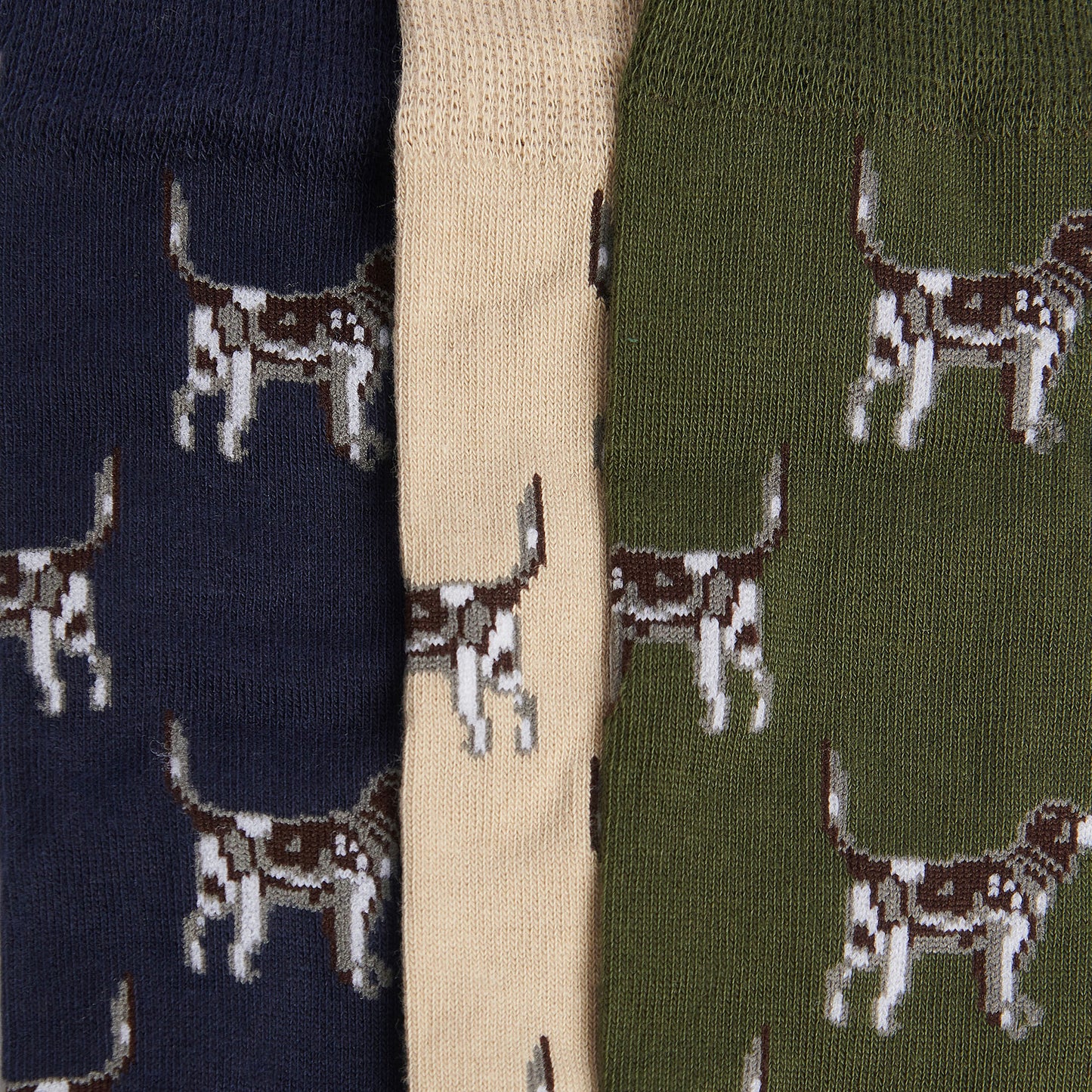 Pointer Dog Socks Gift Box