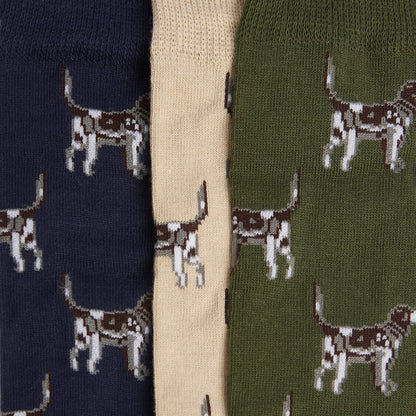 Pointer Dog Socks Gift Box