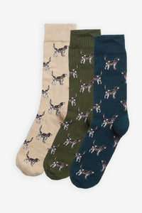 Pointer Dog Socks Gift Box