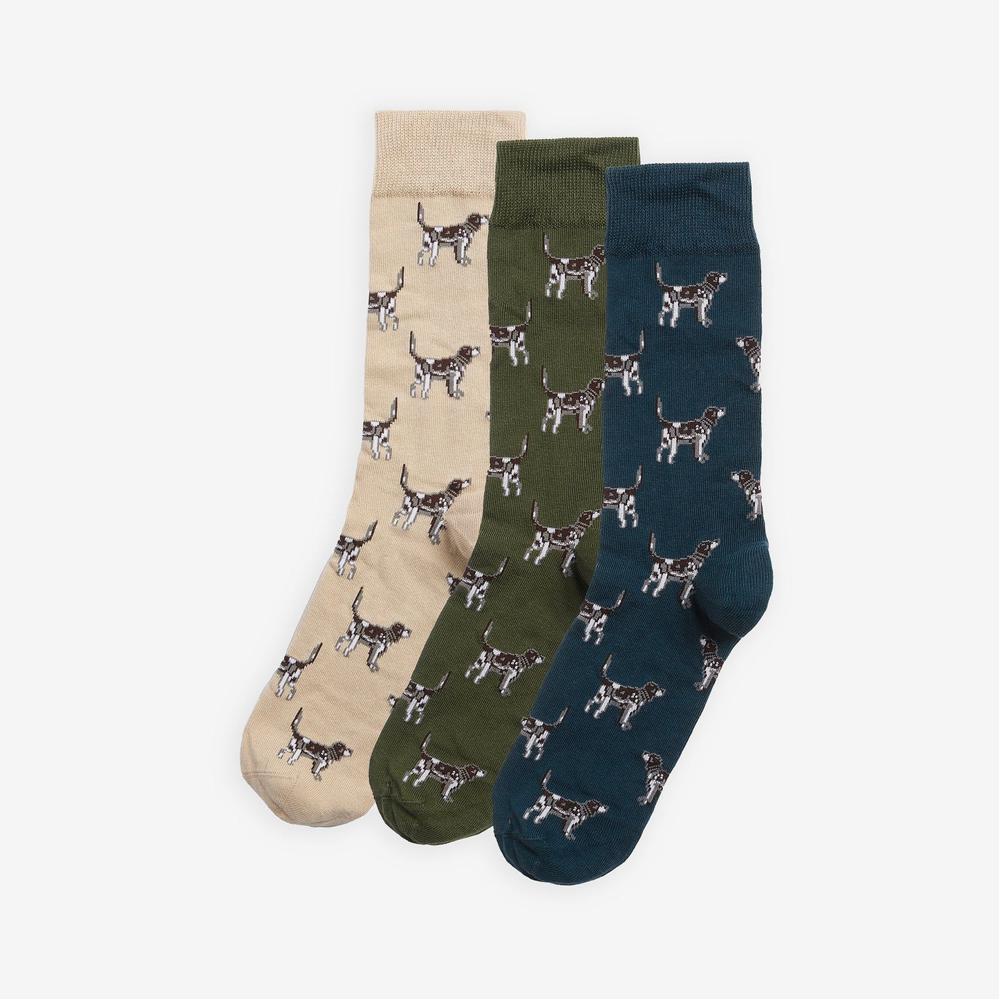Pointer Dog Socks Gift Box