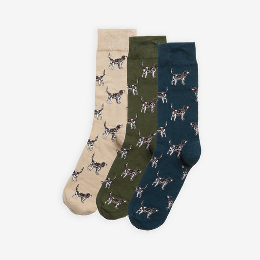 Pointer Dog Socks Gift Box