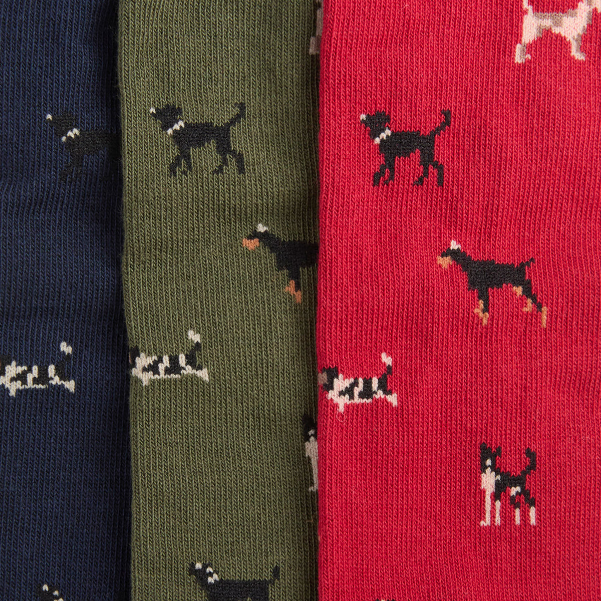 Dog Sock Gift Set
