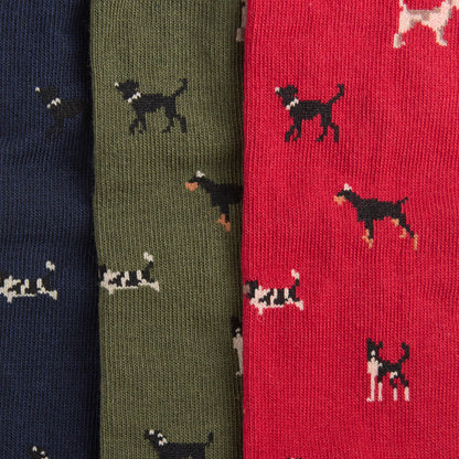 Dog Sock Gift Set