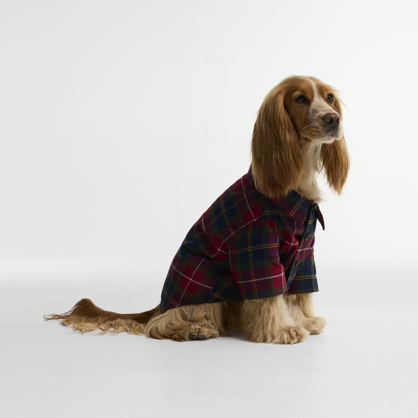 Tartan Fortrose Dog Shirt