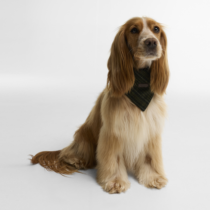 Wilkin Dog Bandana