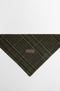 Wilkin Dog Bandana